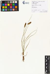 SW_BNB_s3070-01489_IMG-0000000001