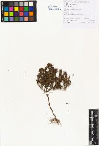 SW_BNB_s3070-01490_IMG-0000000001