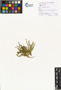 SW_BNB_s3070-01491_IMG-0000000001