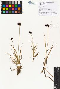 SW_BNB_s3070-01492_IMG-0000000001