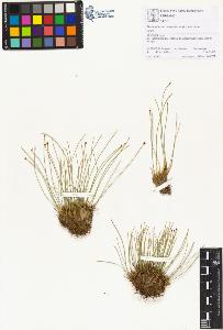 SW_BNB_s3070-01493_IMG-0000000001