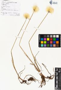 SW_BNB_s3070-01494_IMG-0000000001