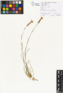 SW_BNB_s3070-01495_IMG-0000000001