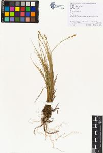 SW_BNB_s3070-01496_IMG-0000000001