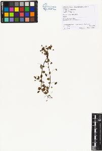 SW_BNB_s3070-01502_IMG-0000000001