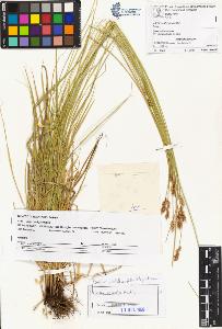 SW_BNB_s3070-01503_IMG-0000000001