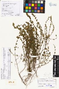 SW_BNB_s3070-01505_IMG-0000000001