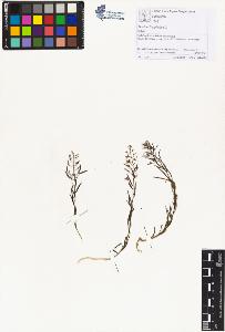 SW_BNB_s3070-01507_IMG-0000000001