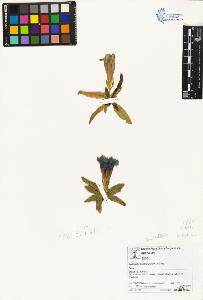 SW_BNB_s3070-01509_IMG-0000000001