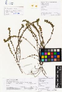 SW_BNB_s3070-01513_IMG-0000000001