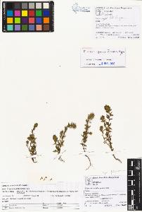 SW_BNB_s3070-01514_IMG-0000000001
