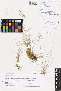 SW_BNB_s3070-01518_IMG-0000000001