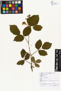 SW_BNB_s3070-01521_IMG-0000000001