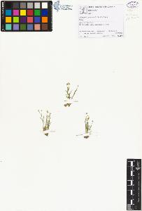 SW_BNB_s3070-01522_IMG-0000000001