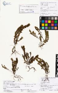 SW_BNB_s3070-01523_IMG-0000000001