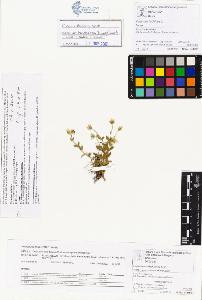 SW_BNB_s3070-01526_IMG-0000000001