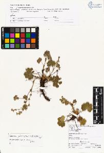 SW_BNB_s3070-01529_IMG-0000000001