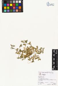 SW_BNB_s3070-01531_IMG-0000000001