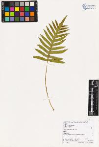 SW_BNB_s3070-01534_IMG-0000000001