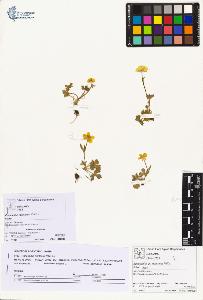 SW_BNB_s3070-01535_IMG-0000000001