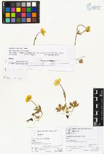 SW_BNB_s3070-01536_IMG-0000000001