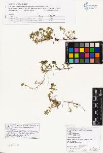 SW_BNB_s3070-01539_IMG-0000000001