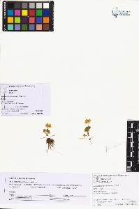 SW_BNB_s3070-01545_IMG-0000000001