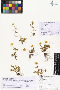 SW_BNB_s3070-01546_IMG-0000000001