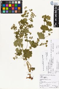 SW_BNB_s3070-01550_IMG-0000000001