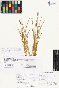 SW_BNB_s3070-01555_IMG-0000000001
