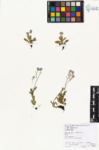SW_BNB_s3070-01556_IMG-0000000001