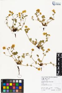 SW_BNB_s3070-01561_IMG-0000000001