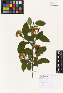 SW_BNB_s3070-01565_IMG-0000000001