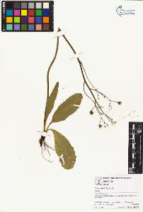 SW_BNB_s3070-01569_IMG-0000000001