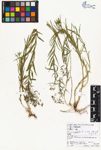 SW_BNB_s3070-01572_IMG-0000000001