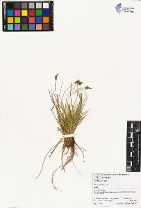 SW_BNB_s3070-01573_IMG-0000000001