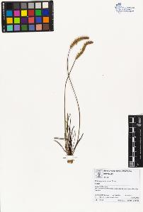 SW_BNB_s3070-01575_IMG-0000000001
