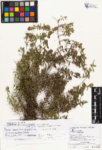 SW_BNB_s3070-01581_IMG-0000000001