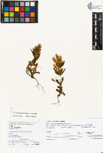 SW_BNB_s3070-01590_IMG-0000000001