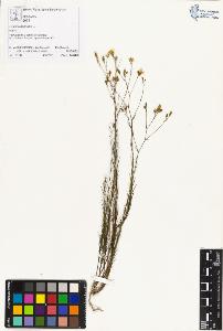 SW_BNB_s3070-01592_IMG-0000000001