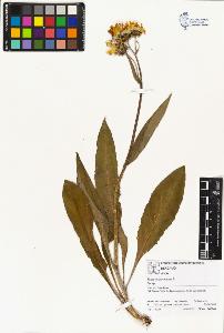 SW_BNB_s3070-01594_IMG-0000000001