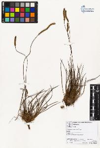 SW_BNB_s3070-01595_IMG-0000000001