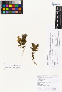 SW_BNB_s3070-01596_IMG-0000000001