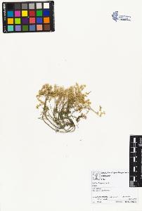 SW_BNB_s3070-01599_IMG-0000000001