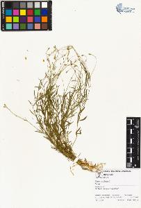 SW_BNB_s3070-01601_IMG-0000000001