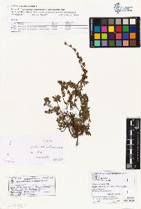 SW_BNB_s3070-01604_IMG-0000000001