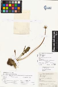 SW_BNB_s3070-01607_IMG-0000000001