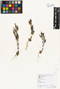 SW_BNB_s3070-01614_IMG-0000000001