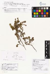 SW_BNB_s3070-01615_IMG-0000000001