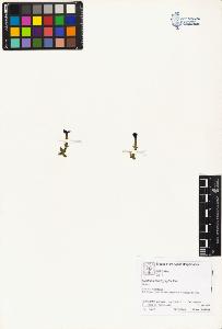 SW_BNB_s3070-01617_IMG-0000000001